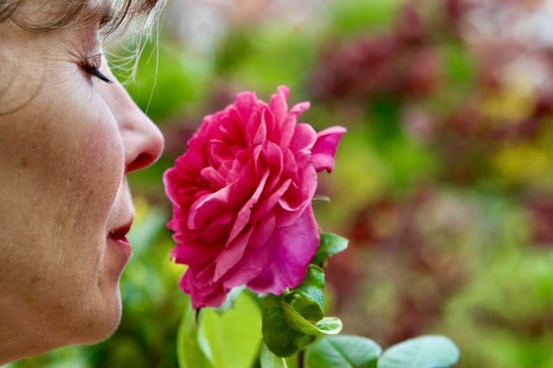 Corinna breathing in the fragrance of a rose