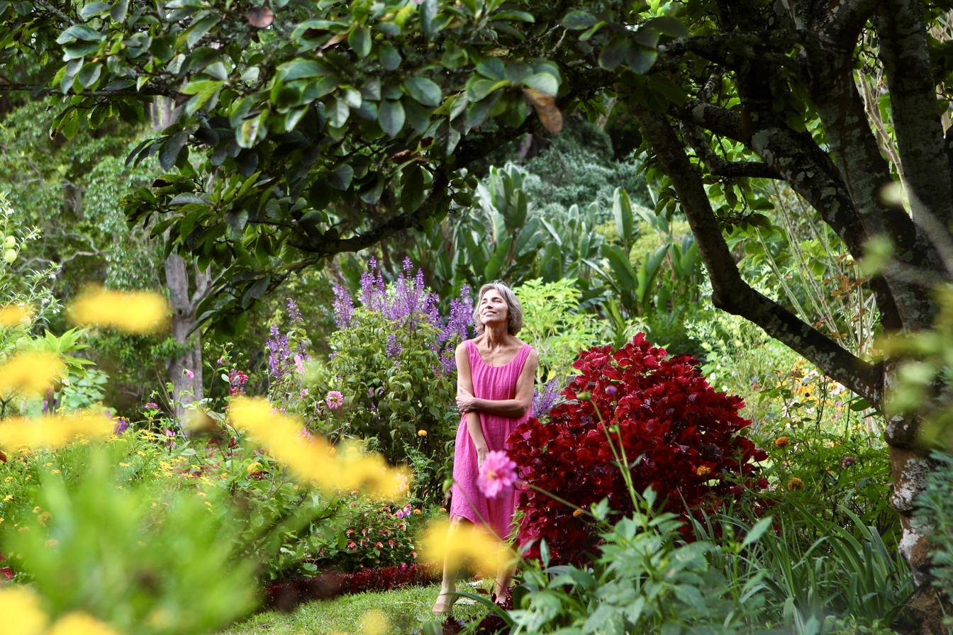 A sunlit garden