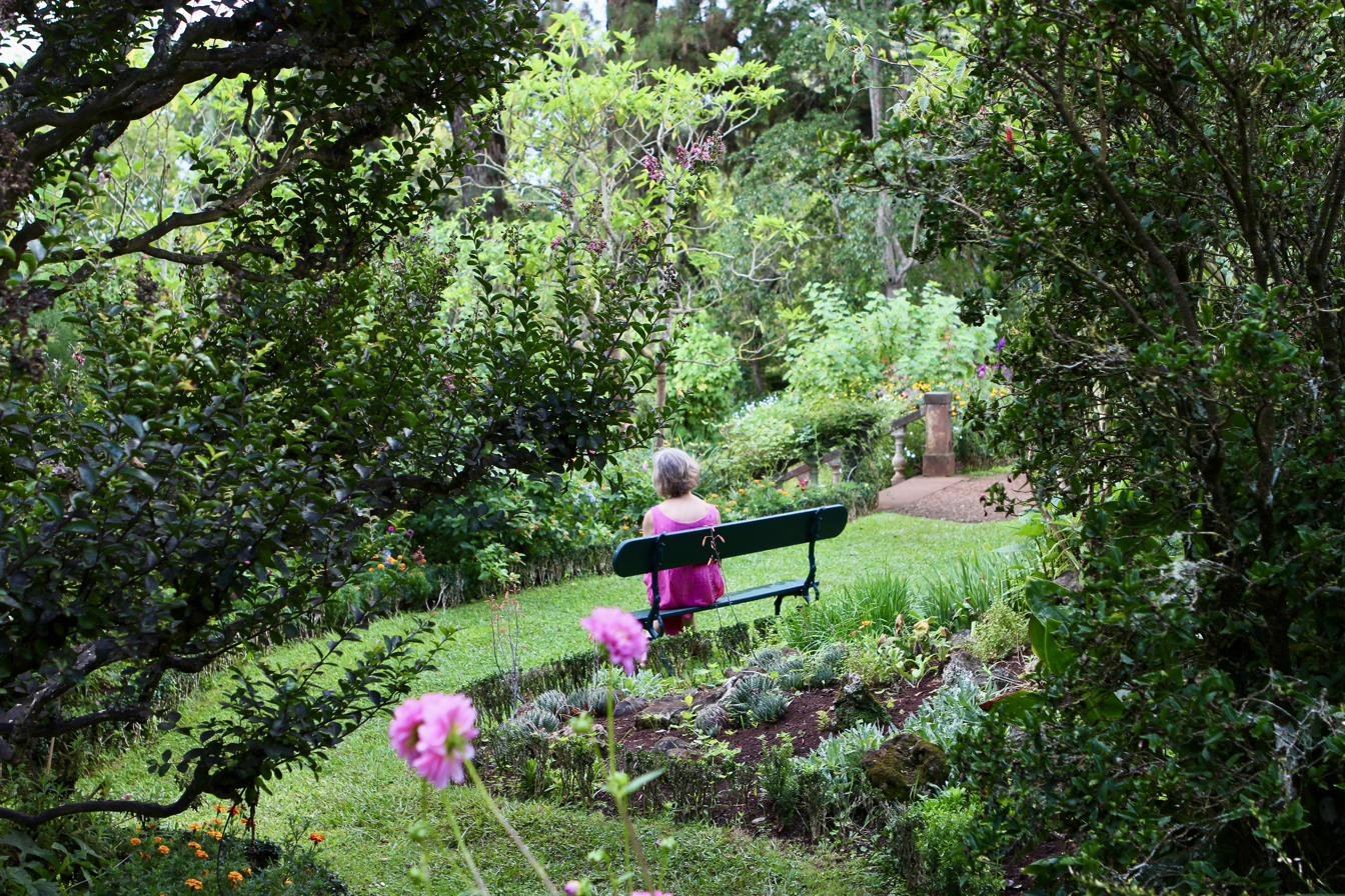 Corinna sitting quietly on a garden bench, gazing down a green path