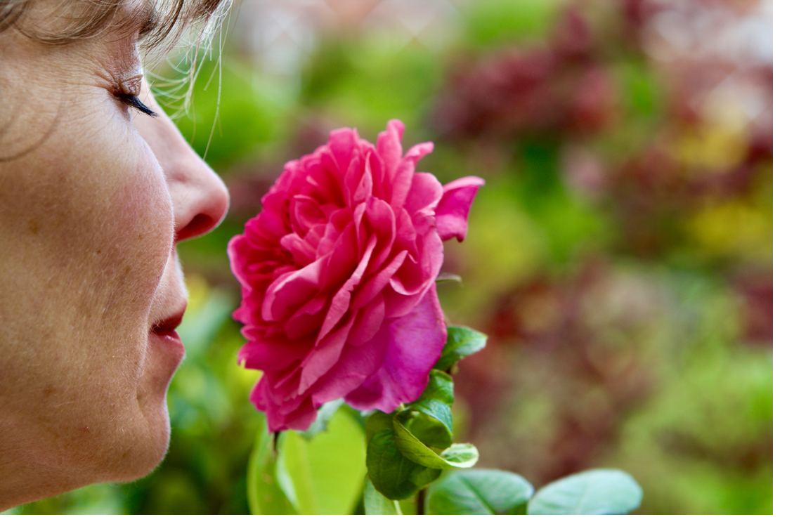 Biodynamics of Fragrance