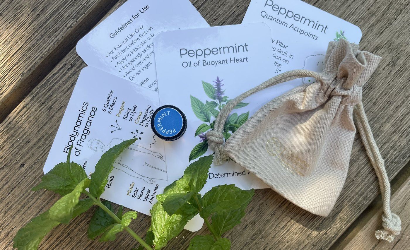 Peppermint aromatic experience — oil, cards and linen bag